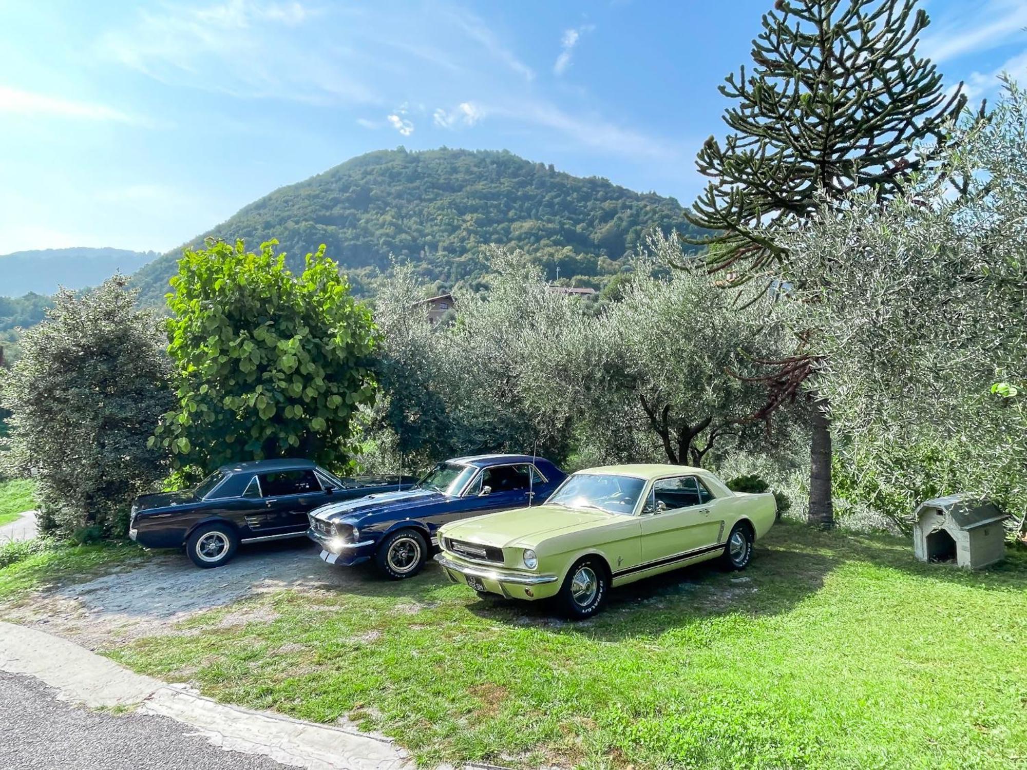 Appartamento Tivano Balcone Con Vista Lago Μπελάτζιο Εξωτερικό φωτογραφία